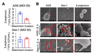 图片包含 应用程序

描述已自动生成